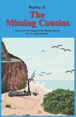 bokomslag Mystery of The Missing Cousins