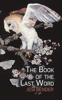 bokomslag Book of the Last Word