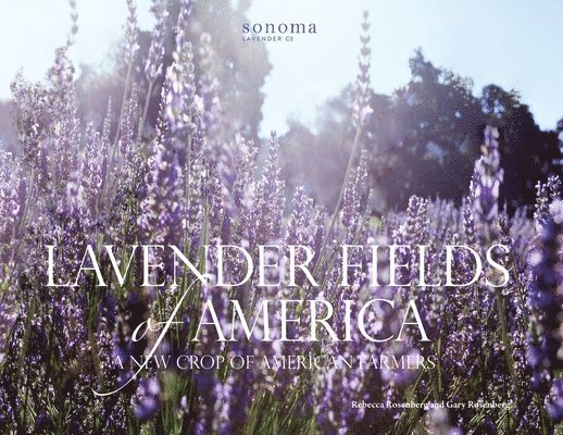 Lavender Fields of America 1