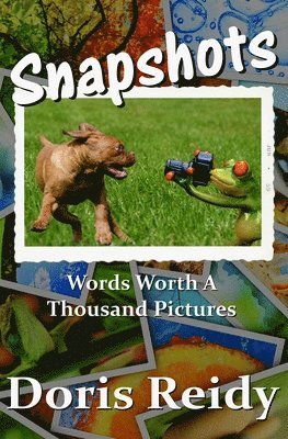 Snapshots: Words Worth a Thousand Pictures 1