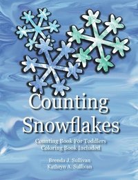 bokomslag Counting Snowflakes