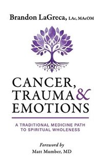 bokomslag Cancer, Trauma & Emotions