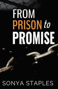 bokomslag From Prison to Promise