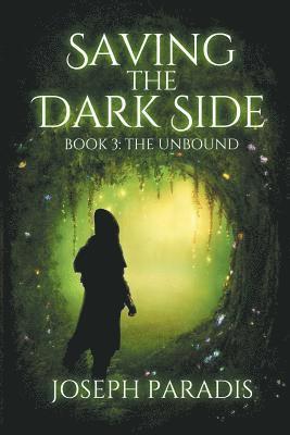 bokomslag Saving The Dark Side Book 3