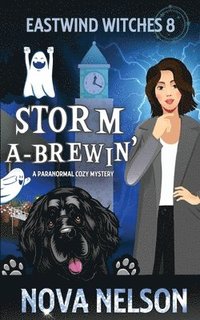 bokomslag Storm a-Brewin': A Paranormal Cozy Mystery