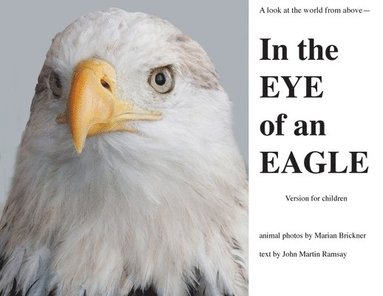 bokomslag In the Eye of an Eagle: A look at the world from above.