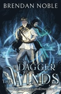 bokomslag Dagger in the Winds