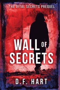 bokomslag Wall of Secrets