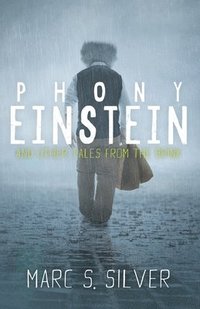 bokomslag Phony Einstein: and other tales from the brink
