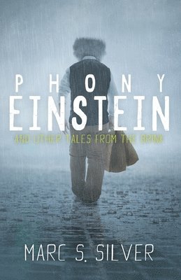 bokomslag Phony Einstein: and other tales from the brink