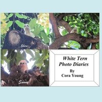 bokomslag White Tern Photo Diaries