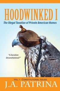 bokomslag Hoodwinked