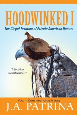 bokomslag Hoodwinked