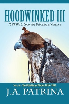 bokomslag Hoodwinked III