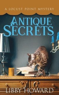 bokomslag Antique Secrets