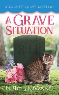 bokomslag A Grave Situation