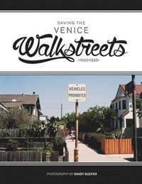 bokomslag Saving the Venice Walkstreets