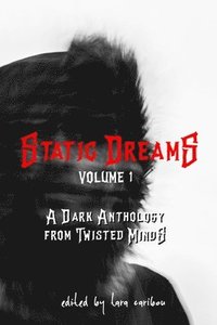 bokomslag Static Dreams Volume 1