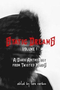 bokomslag Static Dreams Volume 1: A Dark Anthology from Twisted Minds