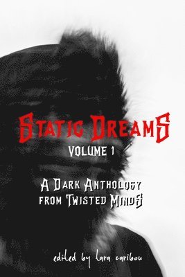 bokomslag Static Dreams Volume 1: A Dark Anthology from Twisted Minds