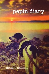 bokomslag Pepin Diary