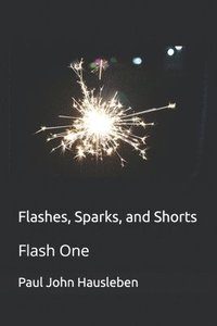 bokomslag Flashes, Sparks, and Shorts