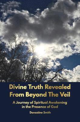 Donastine Smith - Divine Truth Revealed From Beyond The Veil, Häftad