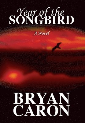 bokomslag Year of the Songbird