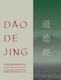 bokomslag Dao De Jing: a Process Perspective