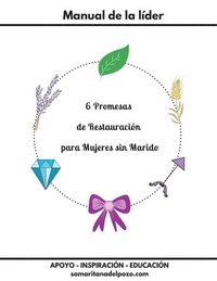 bokomslag 6 Promesas - Manual de la Lider