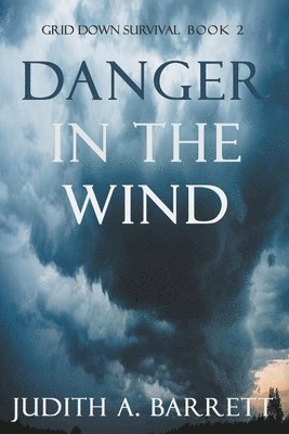 bokomslag Danger in the Wind
