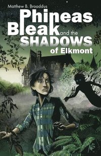 bokomslag Phineas Bleak and the Shadows of Elkmont