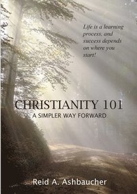 bokomslag Christianity 101