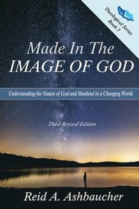 bokomslag Made in the Image of God