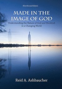 bokomslag Made in the Image of God