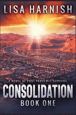 Consolidation 1