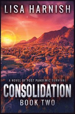 Consolidation 1