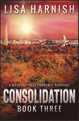 Consolidation 1