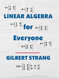 bokomslag Linear Algebra for Everyone