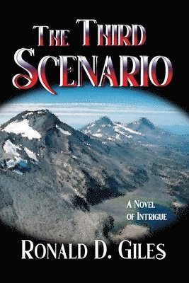 Third Scenario