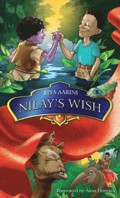 bokomslag Nilay's Wish