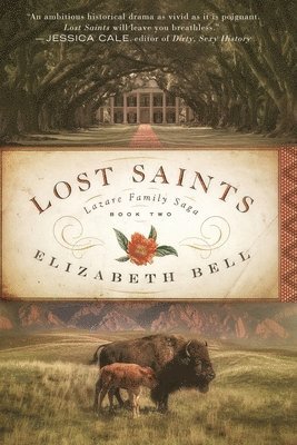 Elizabeth Bell - Lost Saints, Häftad