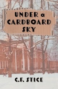 bokomslag Under a Cardboard Sky