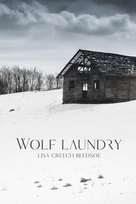 bokomslag Wolf Laundry