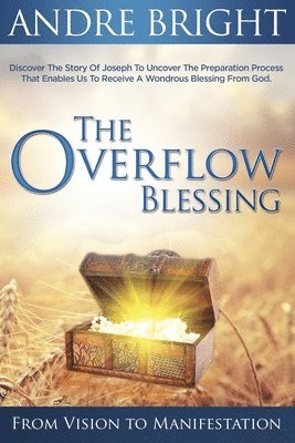 bokomslag The Overflow Blessing: From Vision to Manifestation