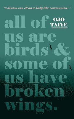 Ojo Taiye - All of Us are Birds and Some of Us Have Broken Wings, Häftad