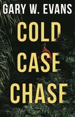 Cold Case Chase 1