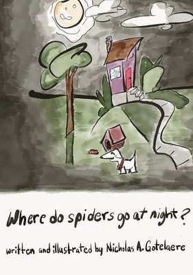 Where do spiders go at night? 1