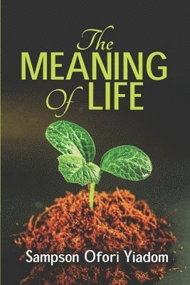 The MEANING OF LIFE 1