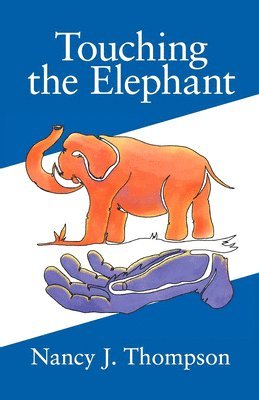 bokomslag Touching the Elephant: Values the World's Religions Share and How They Can Transform Us
